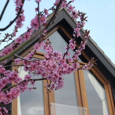 Superb Stokesby Barn Apartment - Norfolk Broads & Norwich Luaran gambar