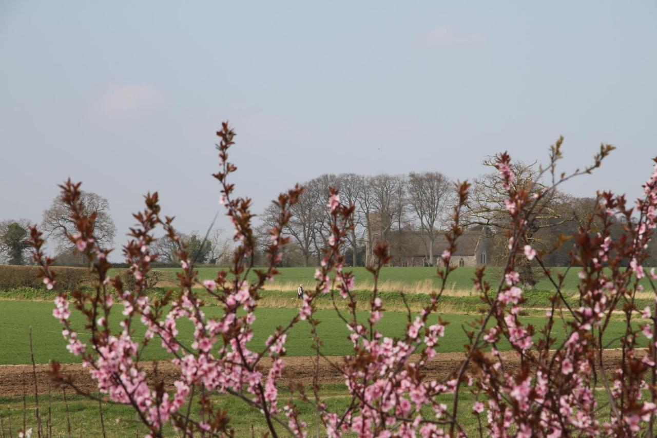 Superb Stokesby Barn Apartment - Norfolk Broads & Norwich Luaran gambar