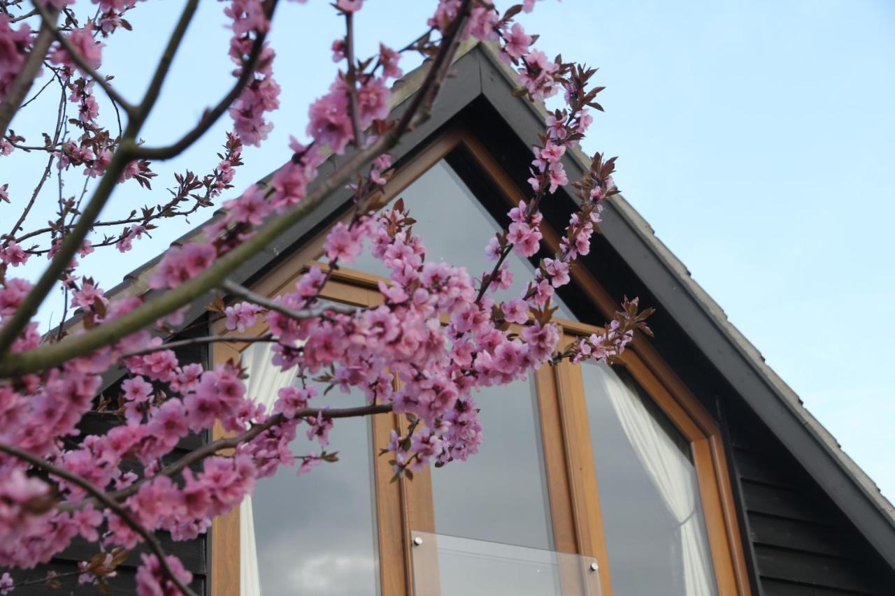 Superb Stokesby Barn Apartment - Norfolk Broads & Norwich Luaran gambar